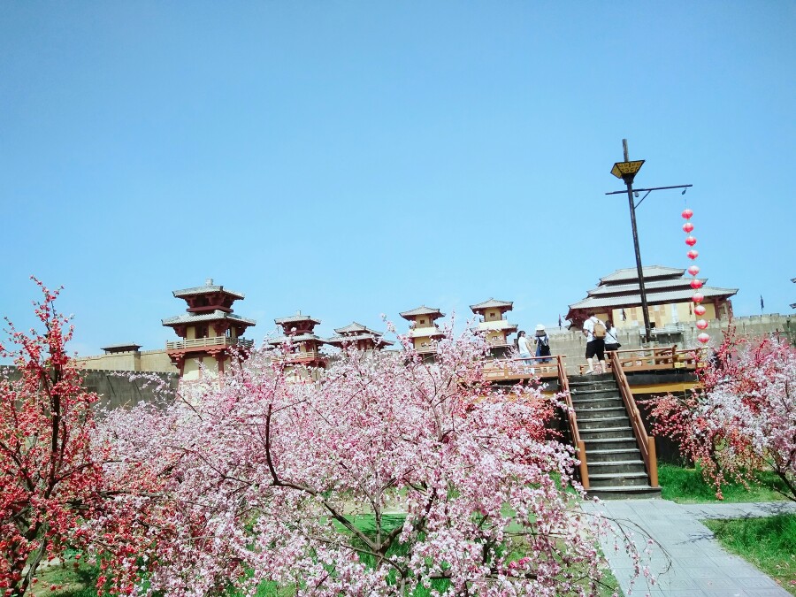 1536196455767557.jpg 3.jpg