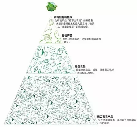 1536213486765965.jpg 1.jpg