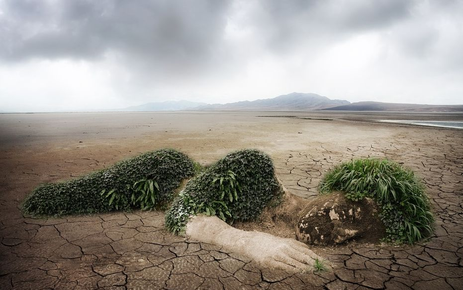 1561511792630759.png image.png