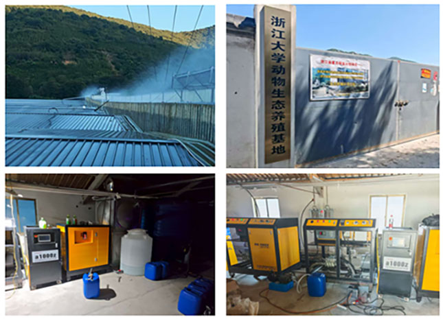 1760510547234059.jpg d285c781-34a5-4a65-acde-aae1841aec78.jpg